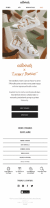 allbirds email with refer-a-friend cta