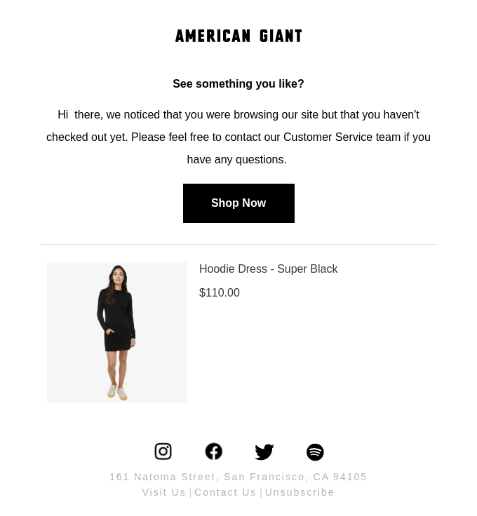 american giant cart abandonment email example