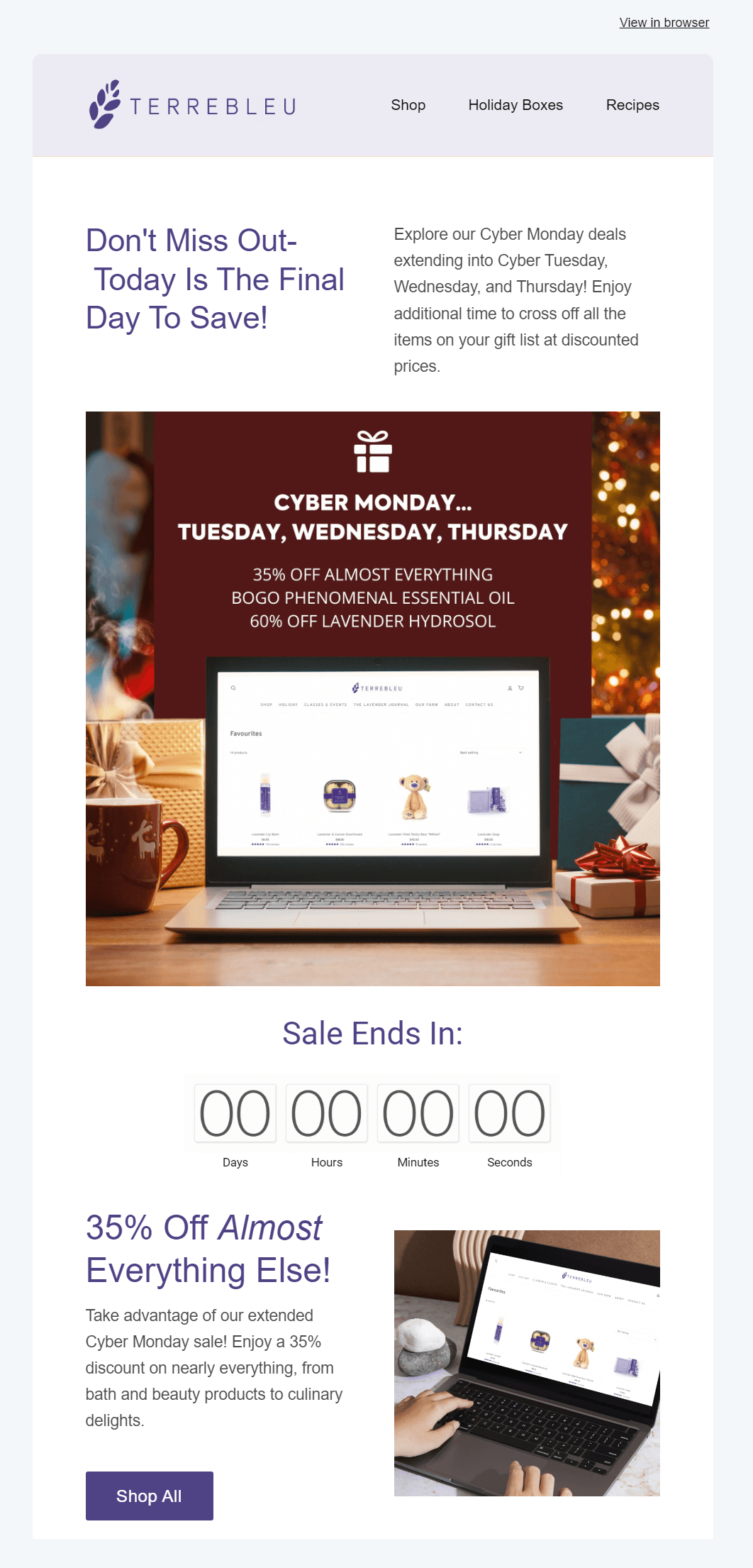 terre bleu email example for cyber monday