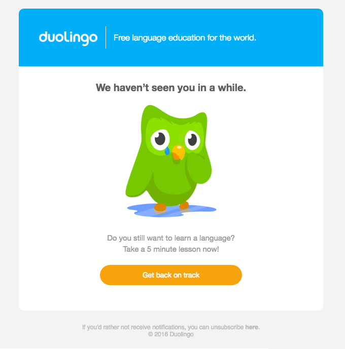 duolingo win-back email