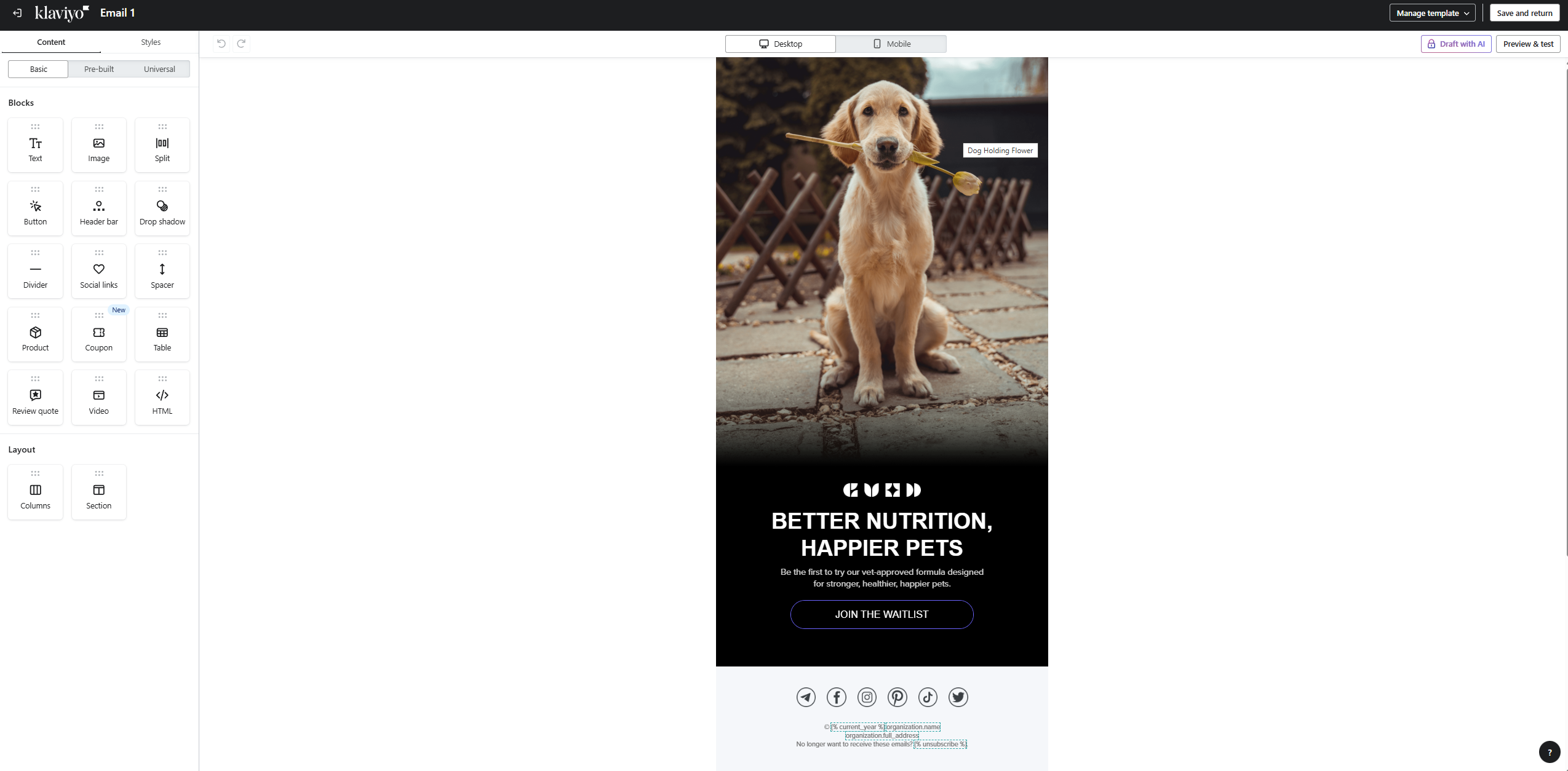 Klaviyo email builder