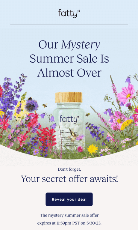 fatty mystery sale campaign