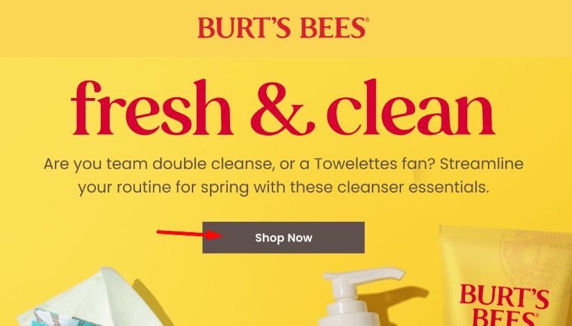 burt's bee cta example