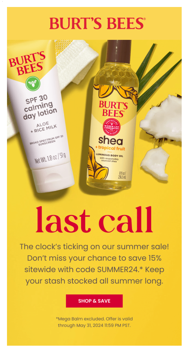 burt's bees example of great email design