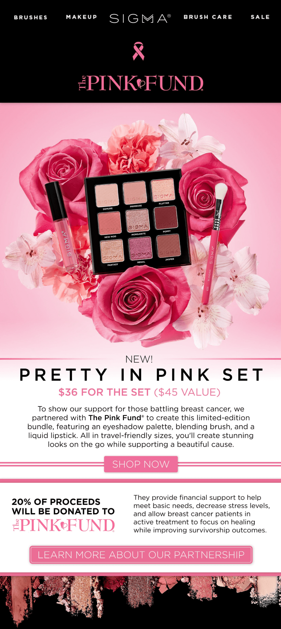 breast cancer awareness email by sigma beauty