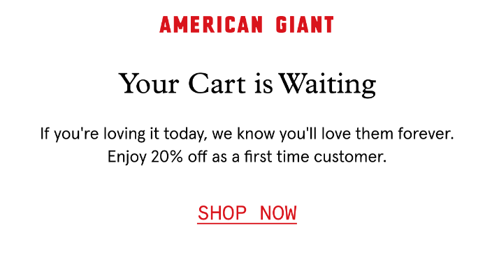 american giant email cta example with styled text links