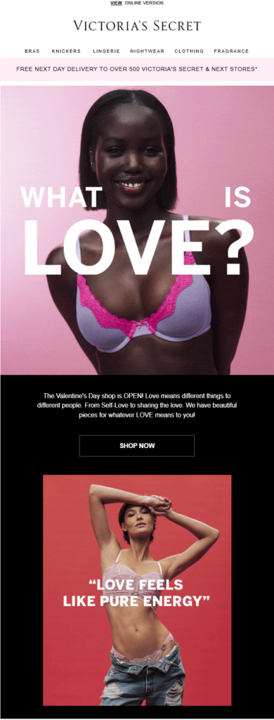 Victoria Secret's Valentine's Day email campaign