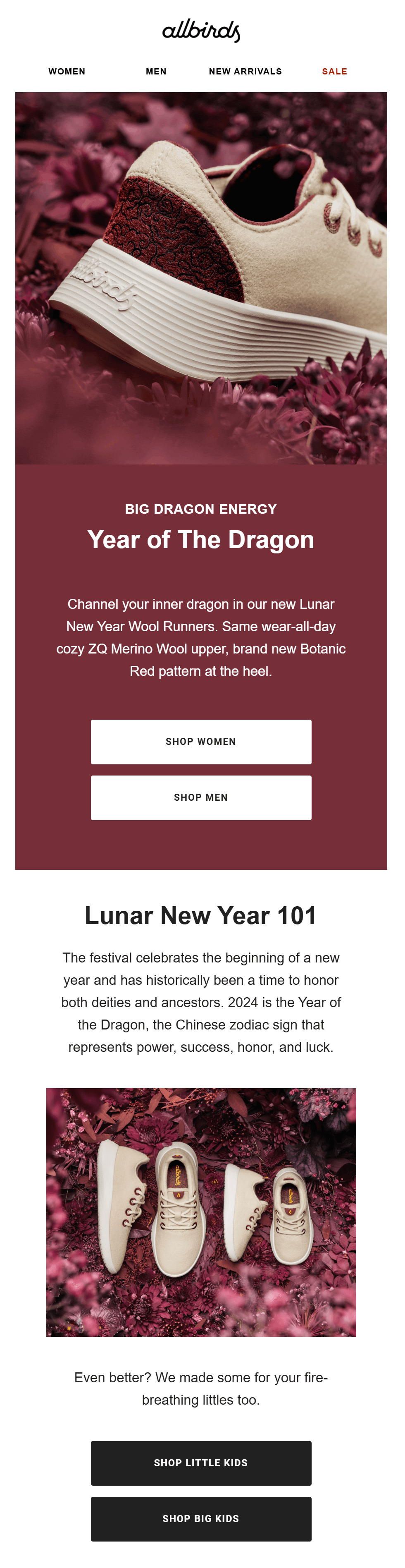 allbirds lunar new year example