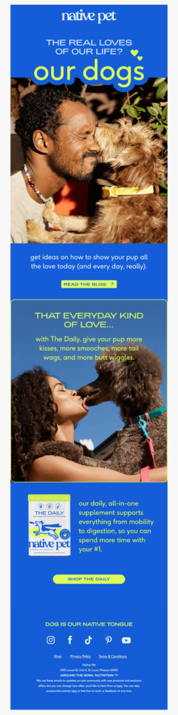 unconventional Valentine's email campaign example