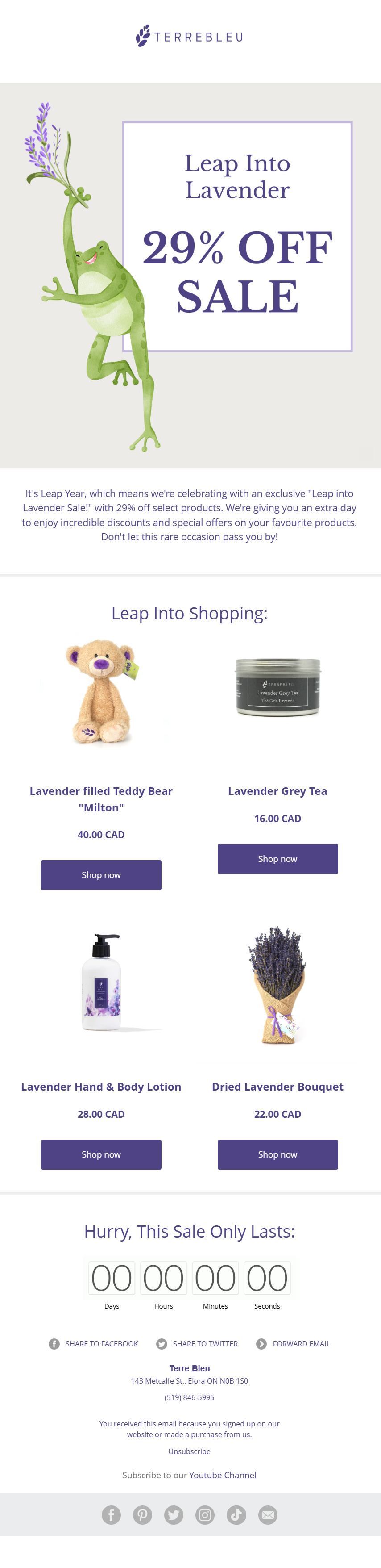 terre bleu leap year february email marketing example