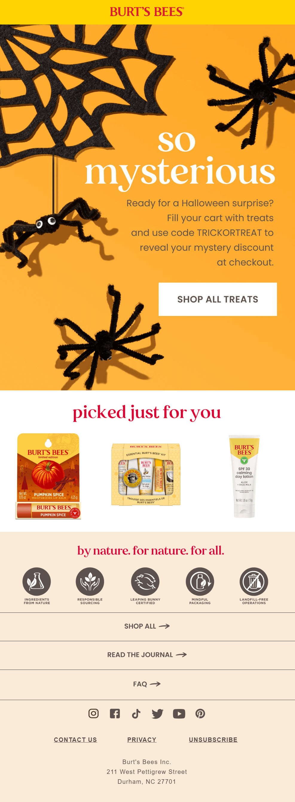 burt's bees halloween email campaign example