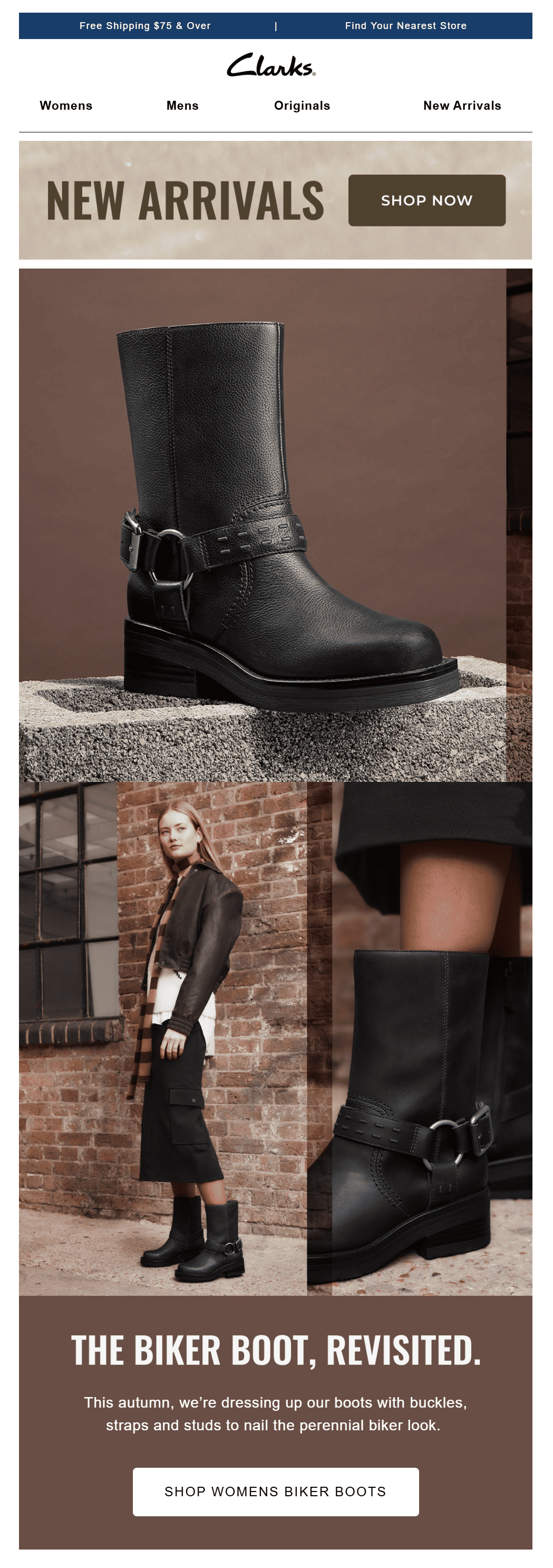 clarkls fall newsletter idea for color palette