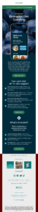 Everlywell email example