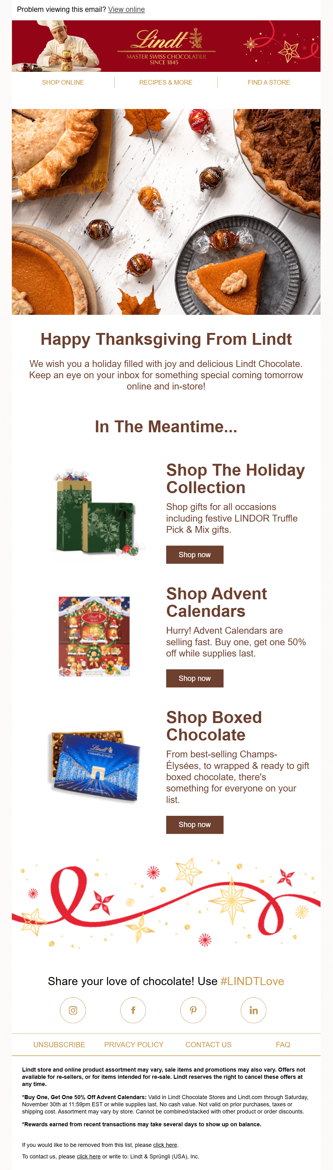 lindt thanksgiving newsletter example