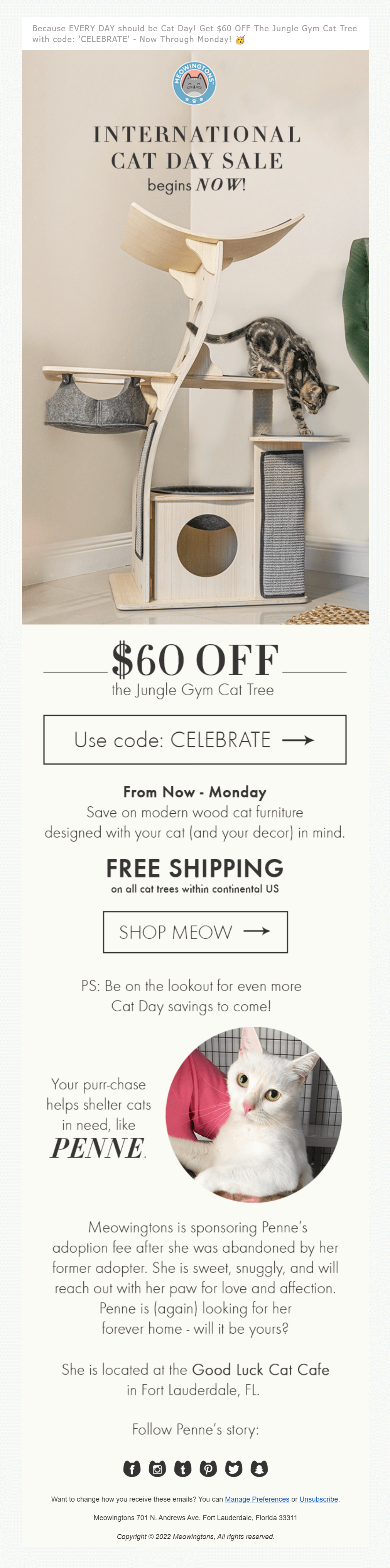 meowingtons international cat day email example for august email marketing planner