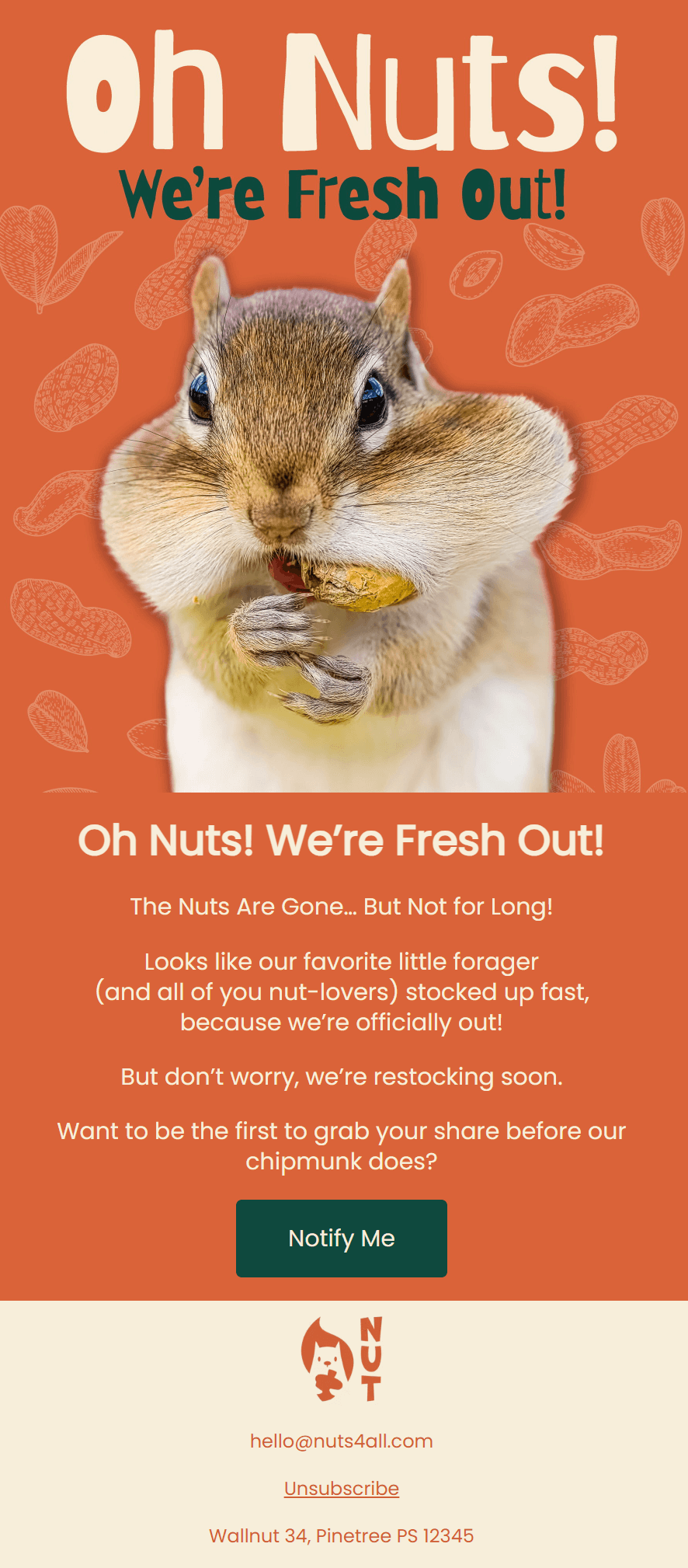 out of stock template for pet care marketing emails
