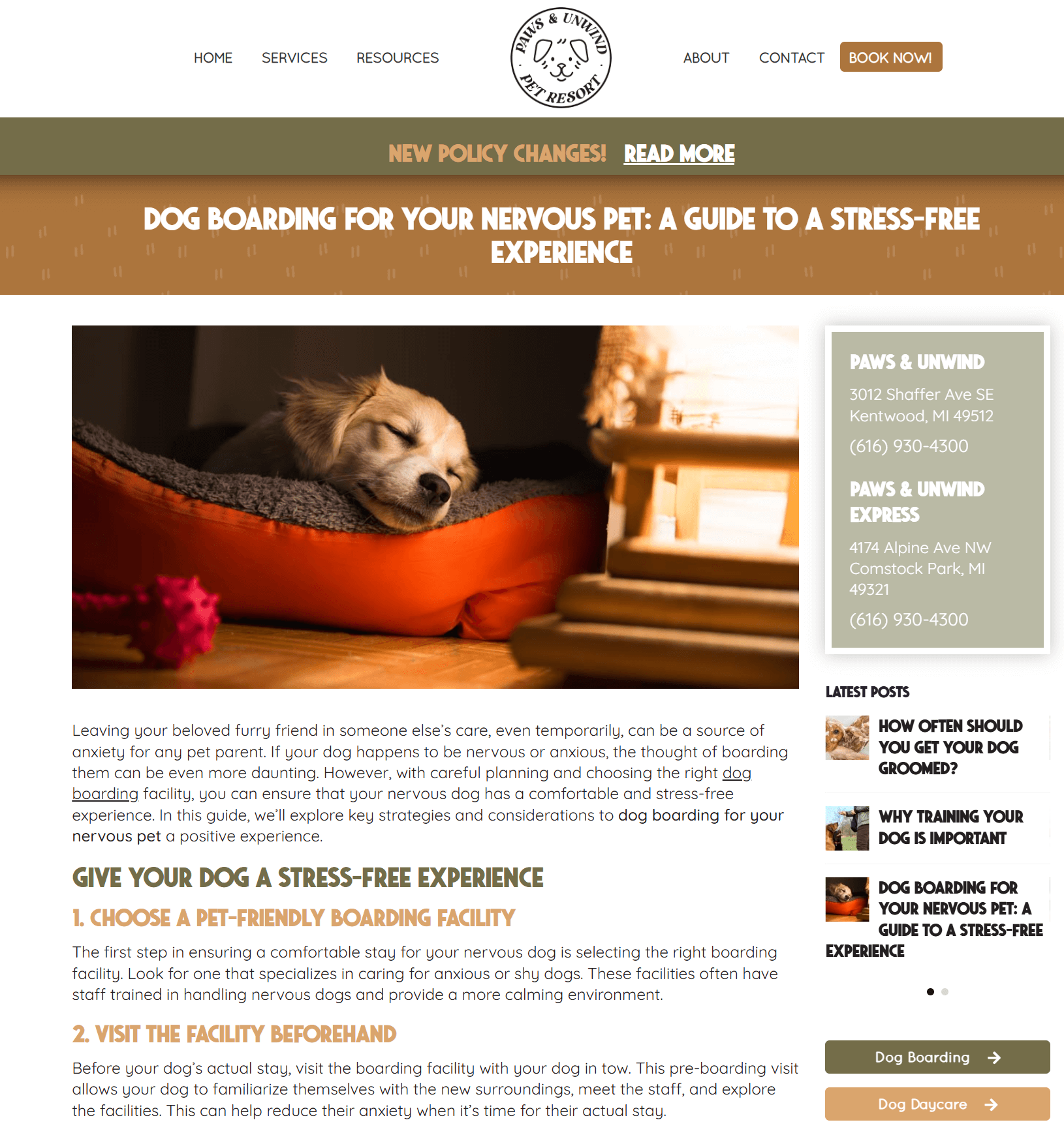 pets and unwind pet resort blog content example