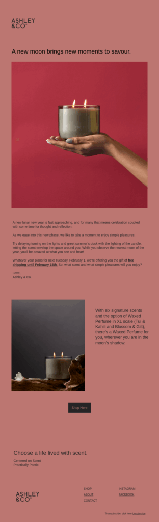 Ashley & Co Lunar New Year email