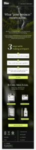 Bite ethical email campaign