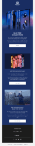 Salomon limited edition email