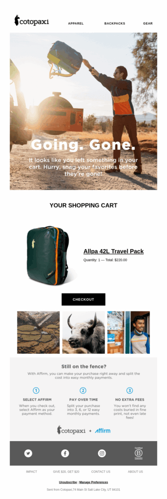 abandoned cart email example