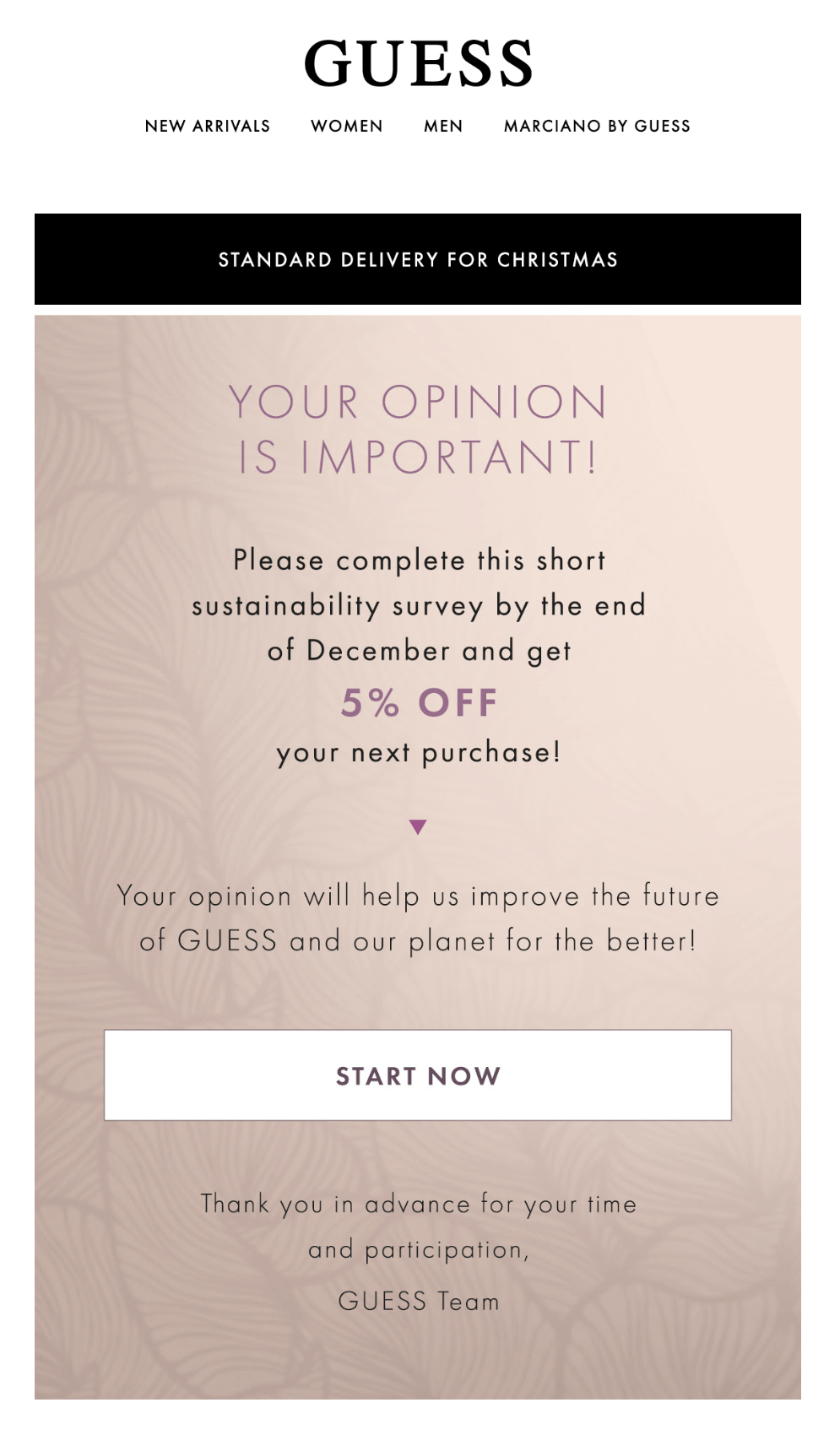 guess sustainability survey
