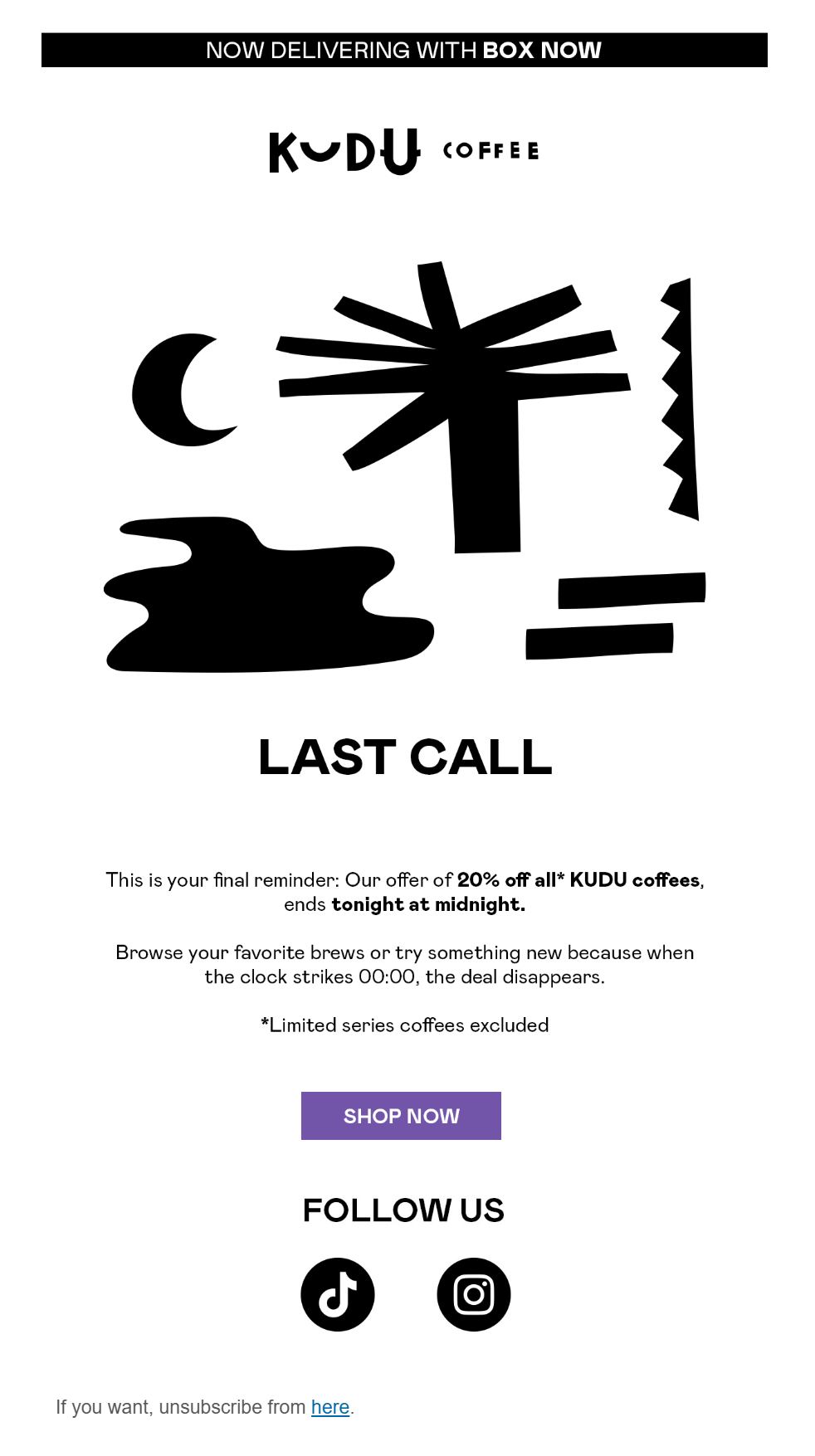 kudu coffee email campaign example