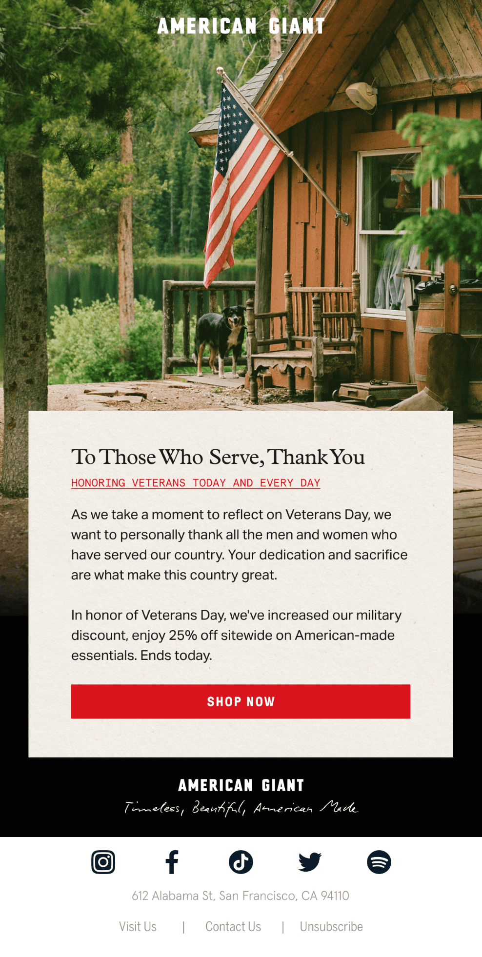 veterans day email examples