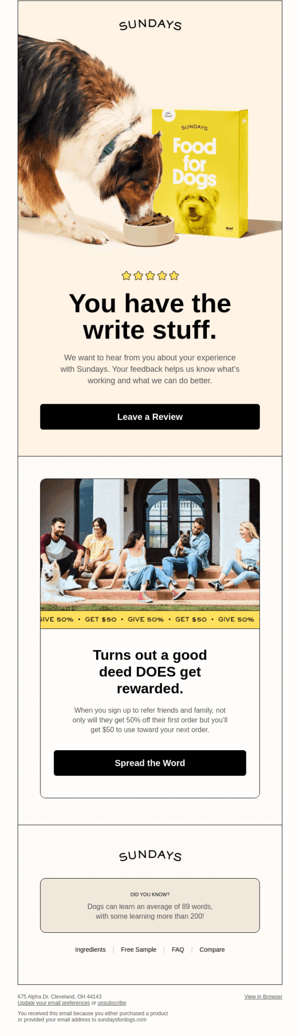 10 Post-Purchase Email Examples in 2026 [with Tips]