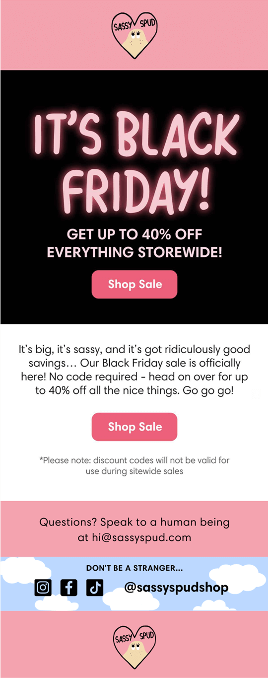 sassy spud email marketing campaign example