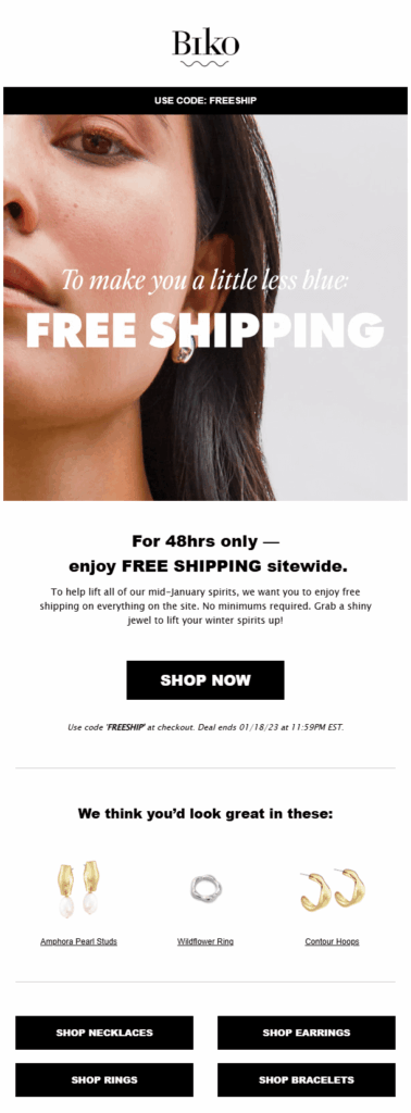 Blue Monday email example