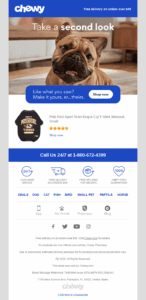 Chewy's browse abandonment email displaying items viewed