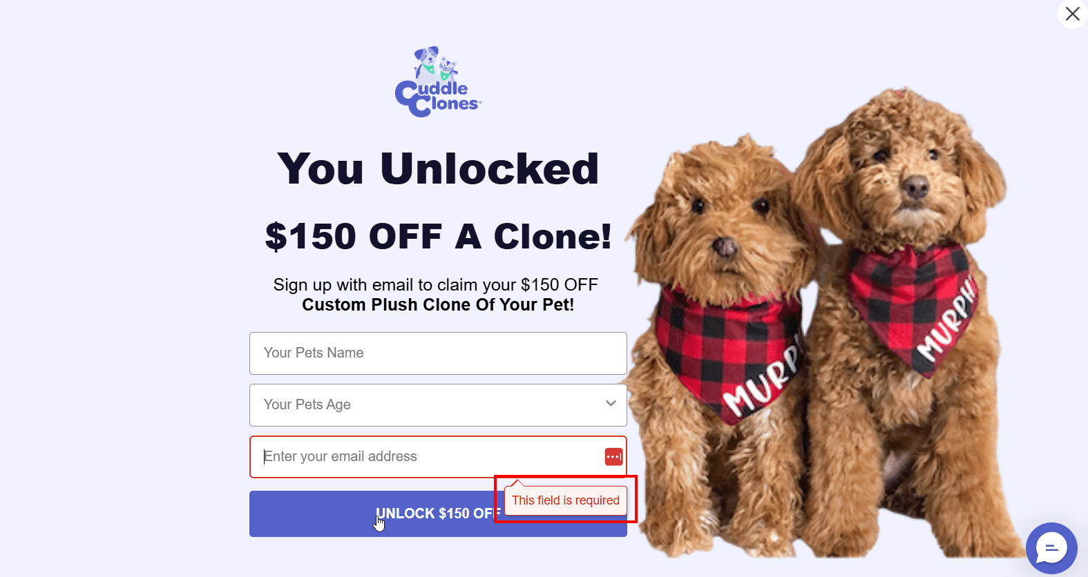 subscription form analytics cuddleclone form field placeholder example cuddleclone form field placeholder example