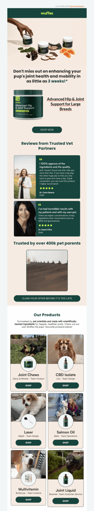 Wuffes' email campaign Wuffes's browse abandonment email
