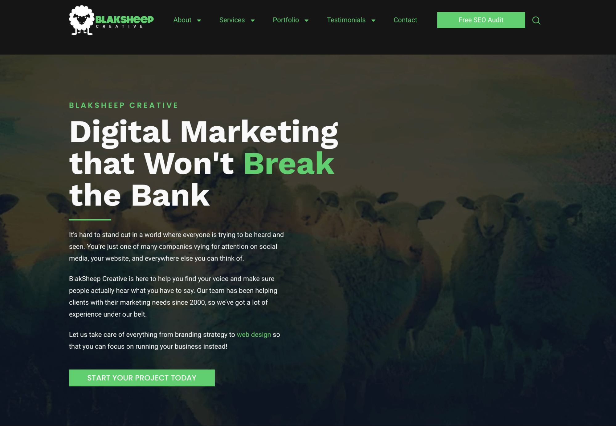 blacksheep creative aeo agency