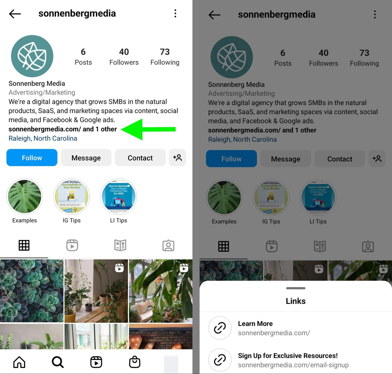 social media bio links to grow yoru email list