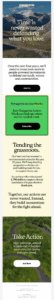world environment email by patagonia World Environment Day email