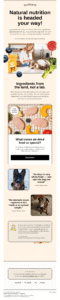Sundays post-purchase email with customer reviews Sundays post-purchase email with customer reviews